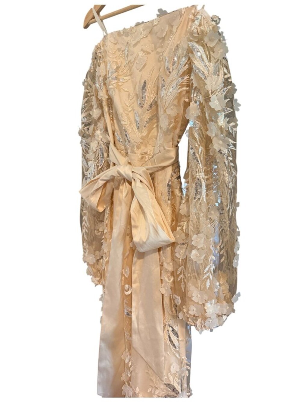 Eliza J Ivory Sequin Embroidered Balloon-Sleeve Gown Dress Size 6 NWT - Picture 4 of 13